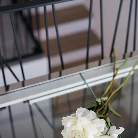 Miracolo Di Mare Trend Piran