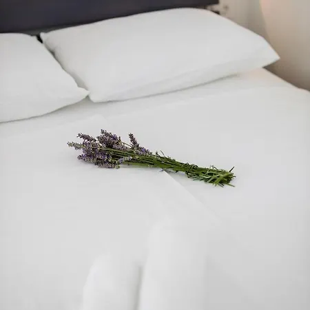 Miracolo Di Mare Trend