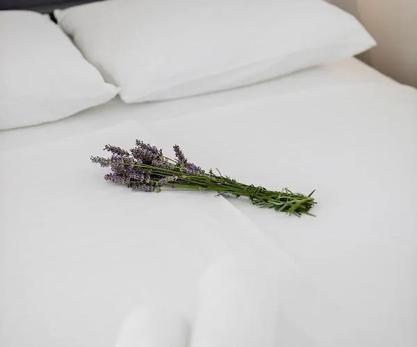 Miracolo Di Mare Trend